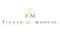 Freeze the Moment logo